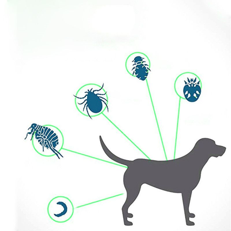 preventic tick collars australia