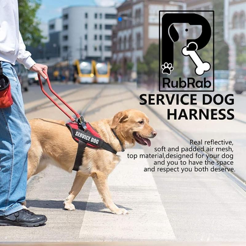 no pull service dog vest