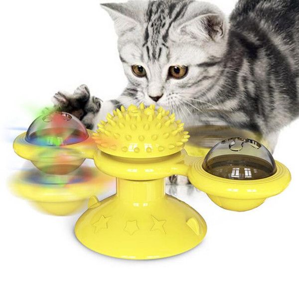 cat medical supplies