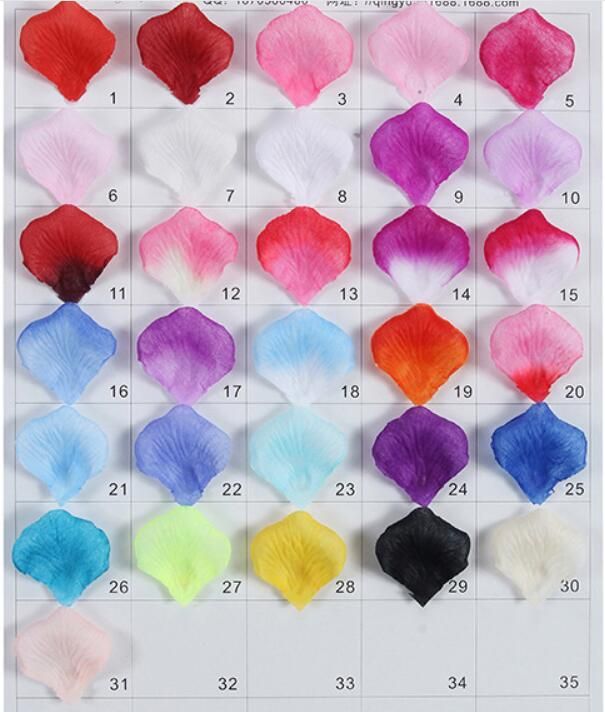 Color random 500g/set