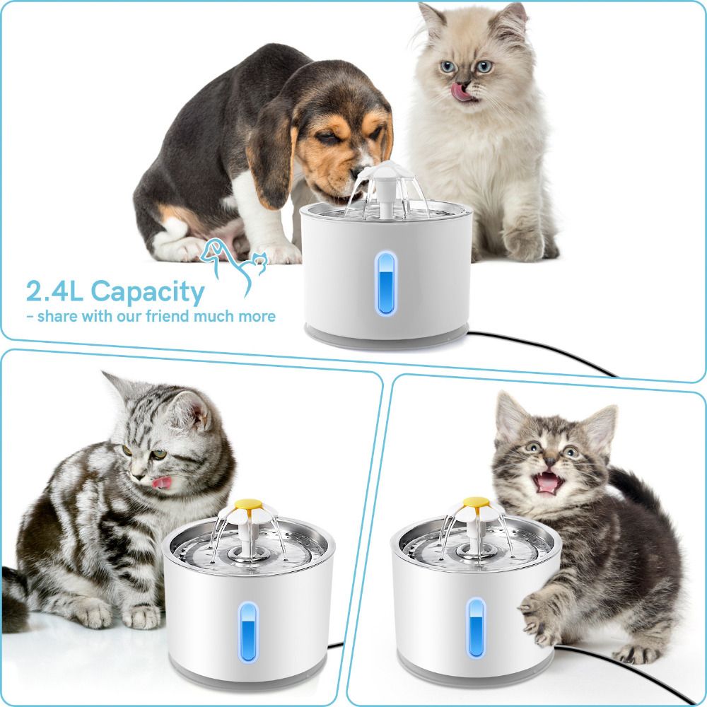 MAX Cat & Dog Feeder Waterer Pet Feeders & Waterers Pet Feeding