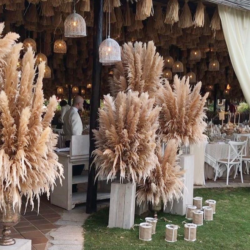 Details about   1Pc Natural Dried Flower Pampas Grass Gray Reed Wedding Party Home Floral Decor 