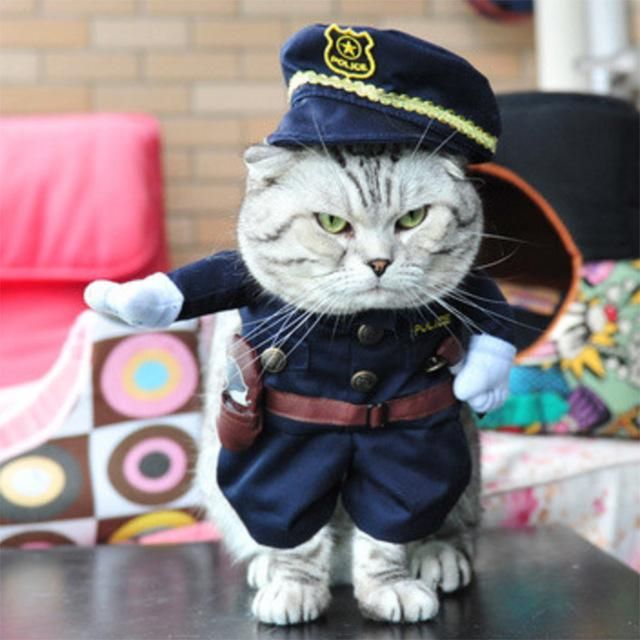 Kedi Polis Kıyafetleri