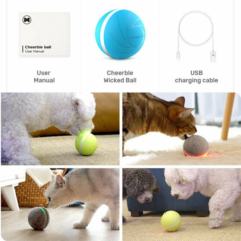 wicked ball cat toy