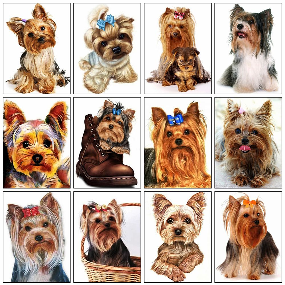 5D DIY Full Drill Diamond Painting Dog Cross Stitch Embroidery Mosaic Kit Decor