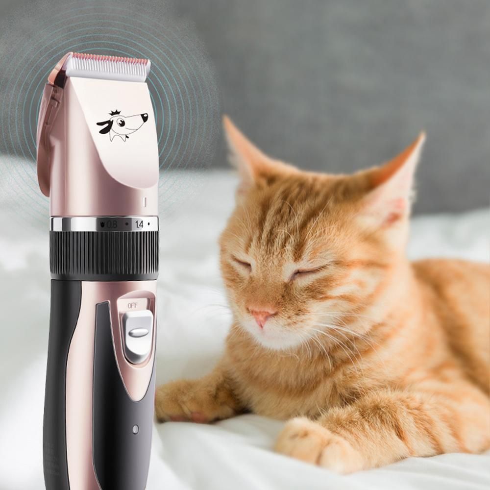 pet hair cutter