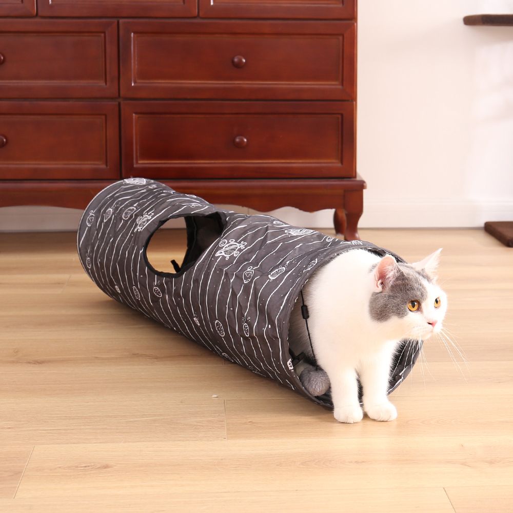 small cat tunnel