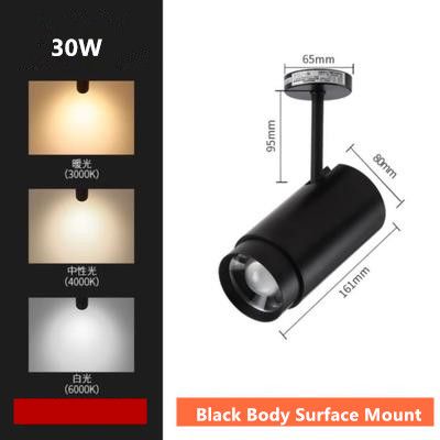 30W Surface Mount Black 3000K