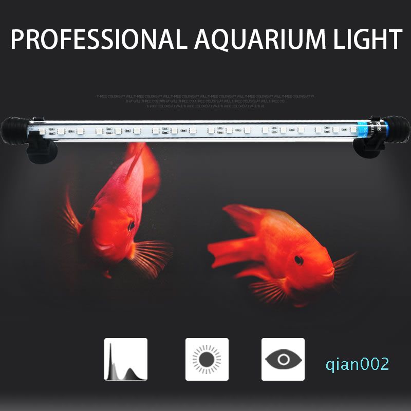 remote control goldfish