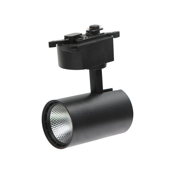 Opties: 10W Black Track Light