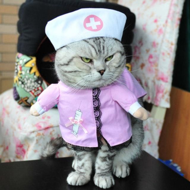 Kedi Hemşire Kostüm