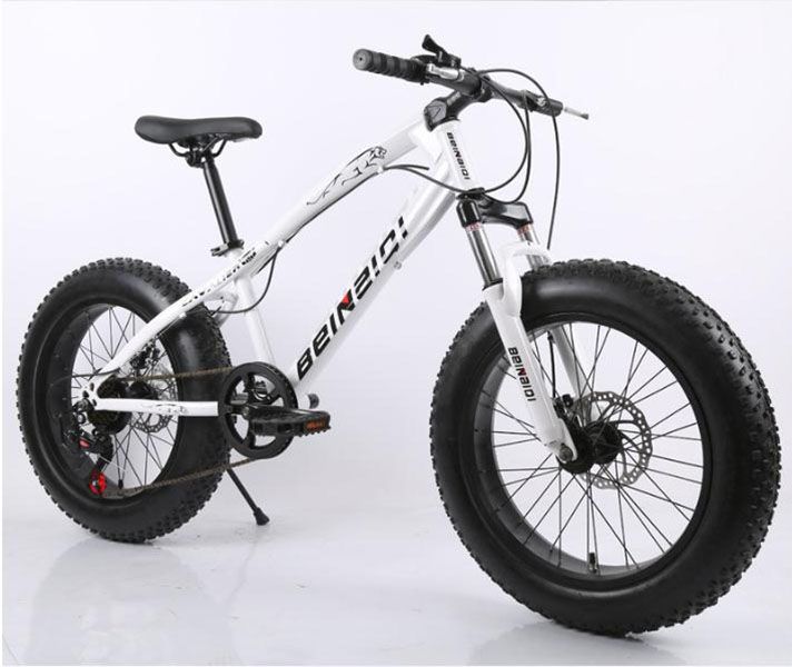 24 inch bike kmart