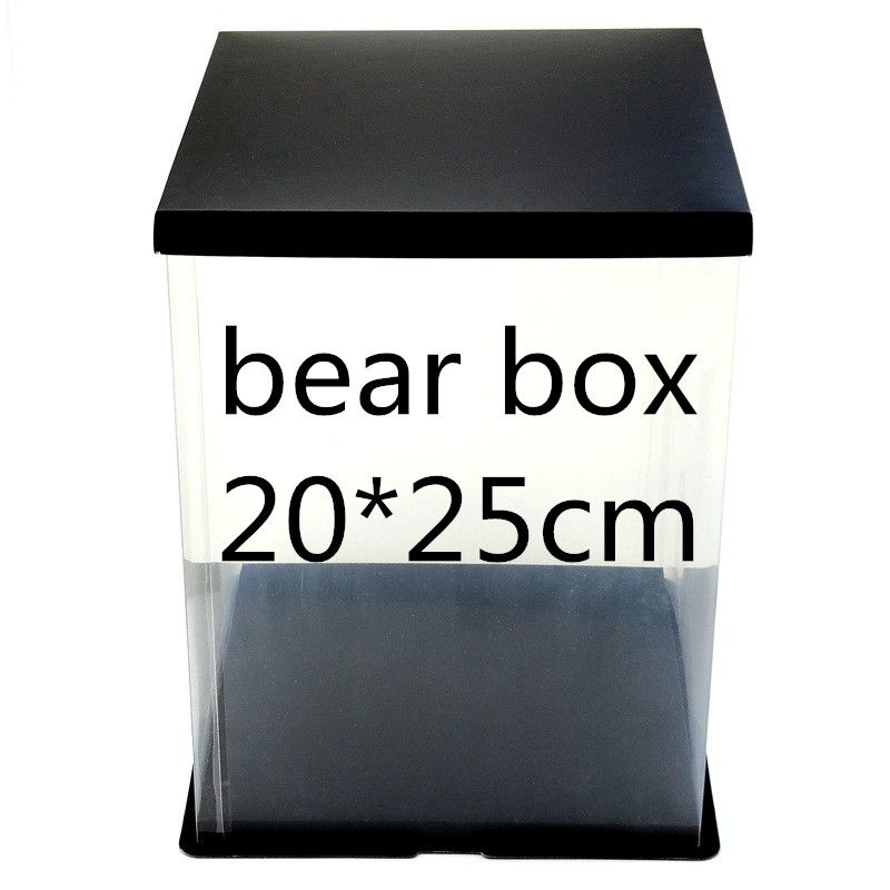 scatola dell'orso