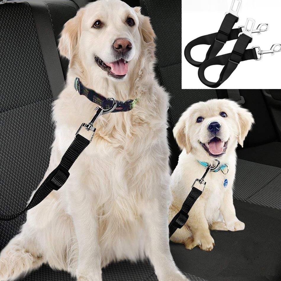 dog seat belt leash