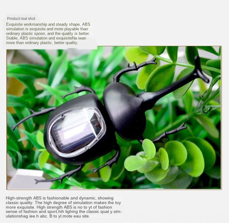 dung beetle toy