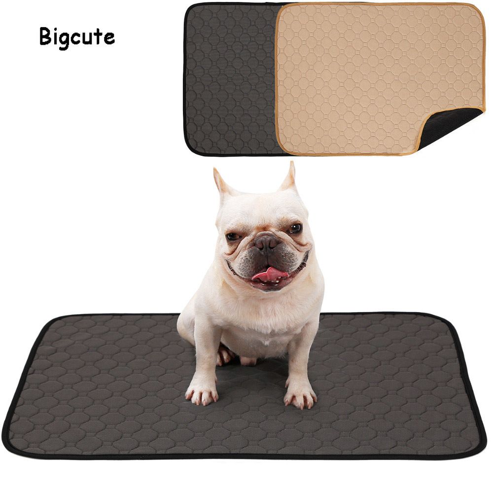 washable puppy pee pads