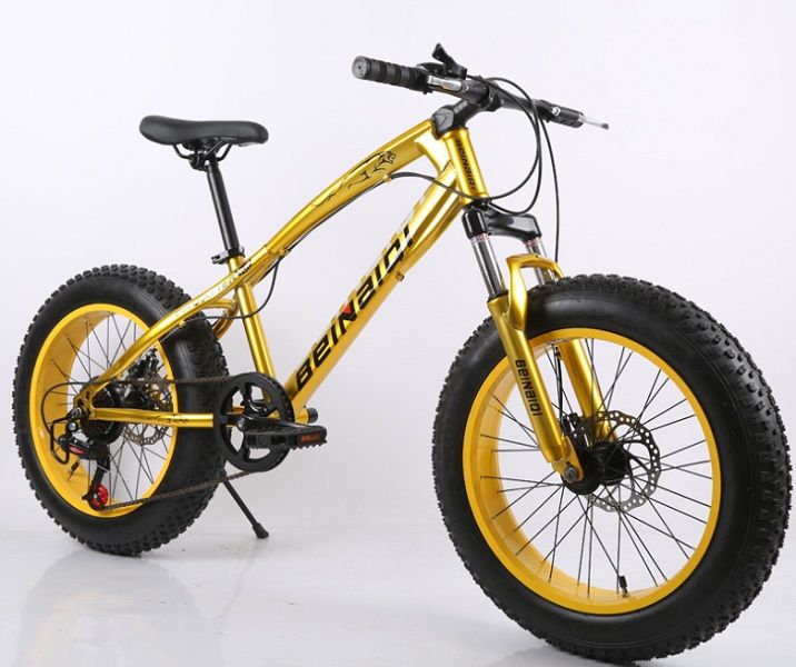fixed gear fat bike
