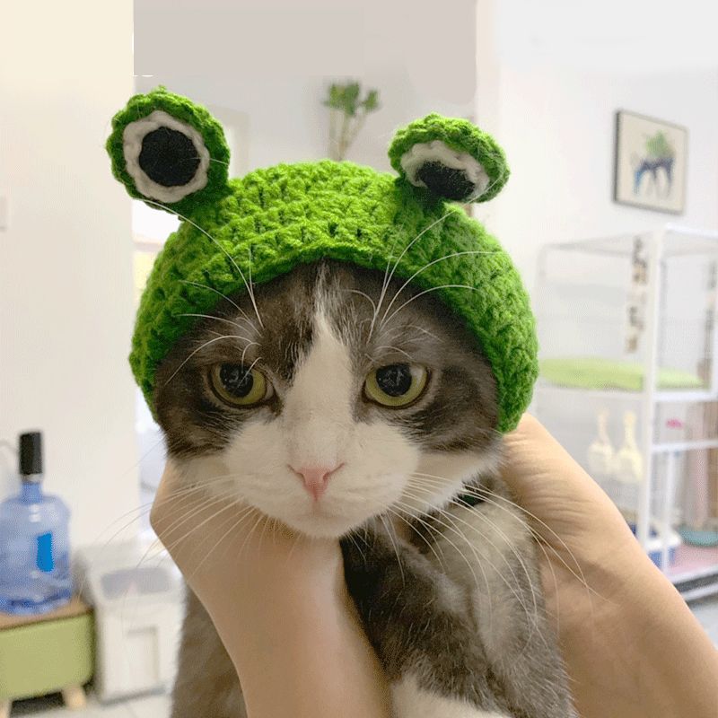 Frog Dog Hat Cat Frog Styling 