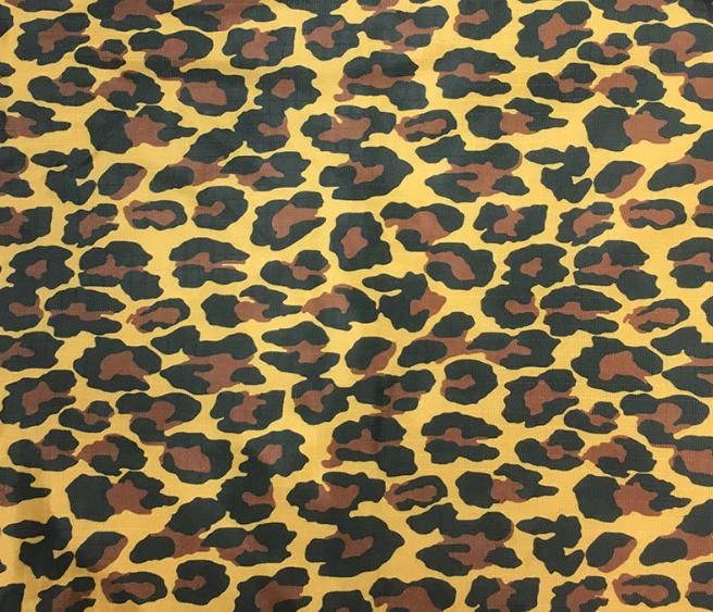 Schéma de léopard