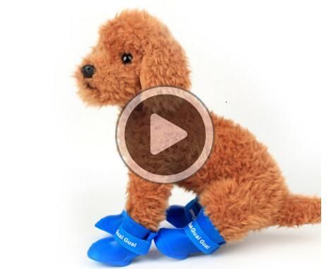 Satin Al Kopek Pet Ayakkabi Pvc Pet Acik Yagmur Ayakkabi Kopek Yagmur Botlari Jenna G01e Icin Toptan Seker Renkler Ayakkabi Tl18 51 Tr Dhgate Com