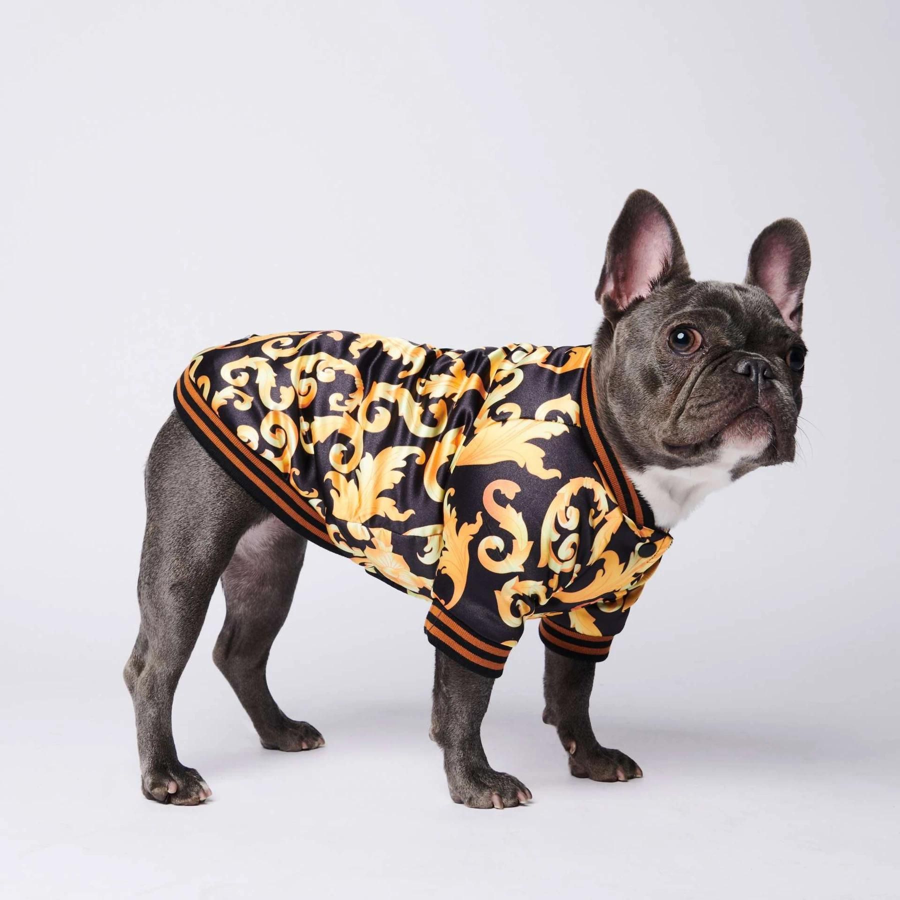 Bulldog francés de perro caliente de la capa de la de ropa