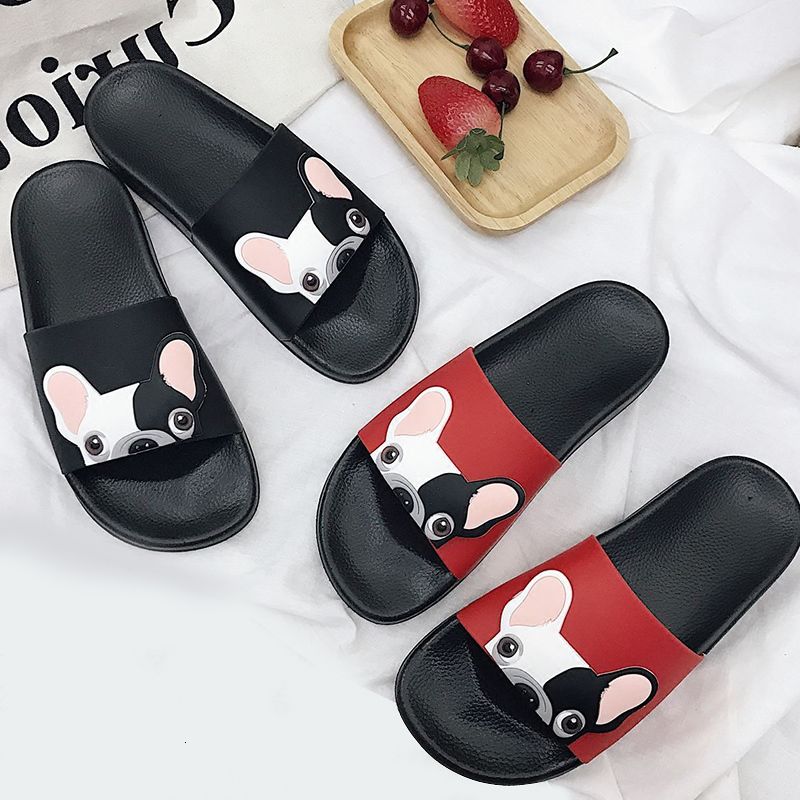 dog beach shoes