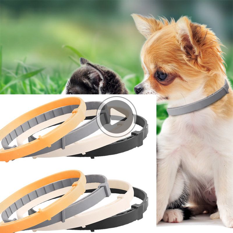 preventic flea collar for cats