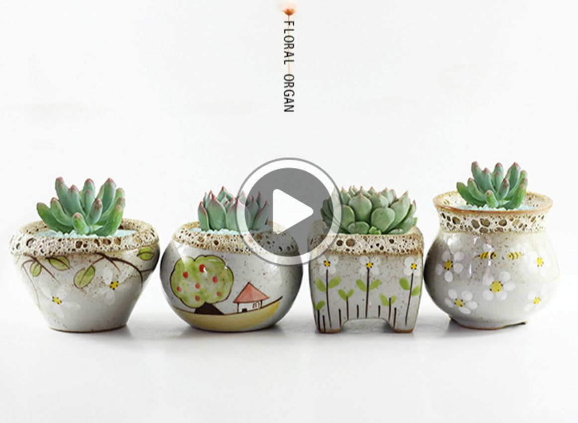 Succulent Plant Flower Ceramic Pot Green/ Blue Succulent Plant Flower Ceramic Pot Green/ Blue