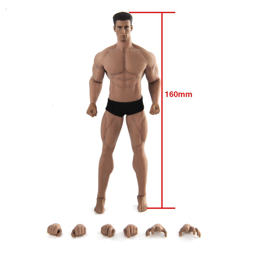 Details about   TBLeague 1:12 PH2019-TM01A Muscular Male Action Figure Body & Head Soldier Toys 