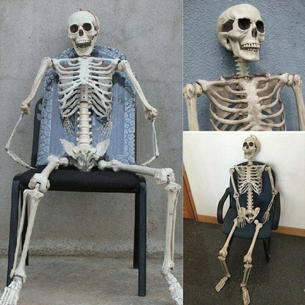 Movable Accessories Skeleton Human Model Skull Figure Toy Halloween Decor Gift