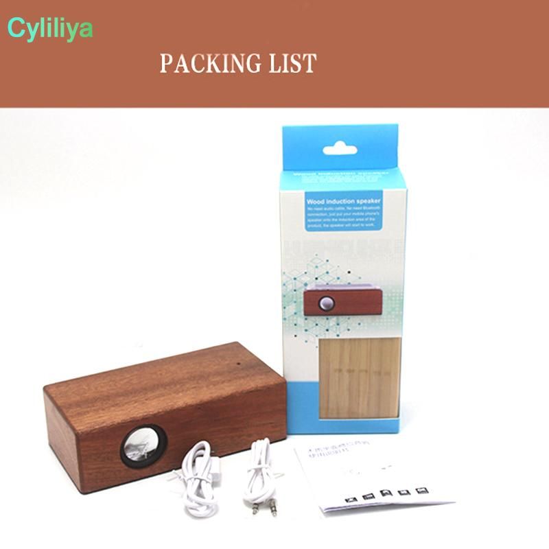 stereo induction speaker