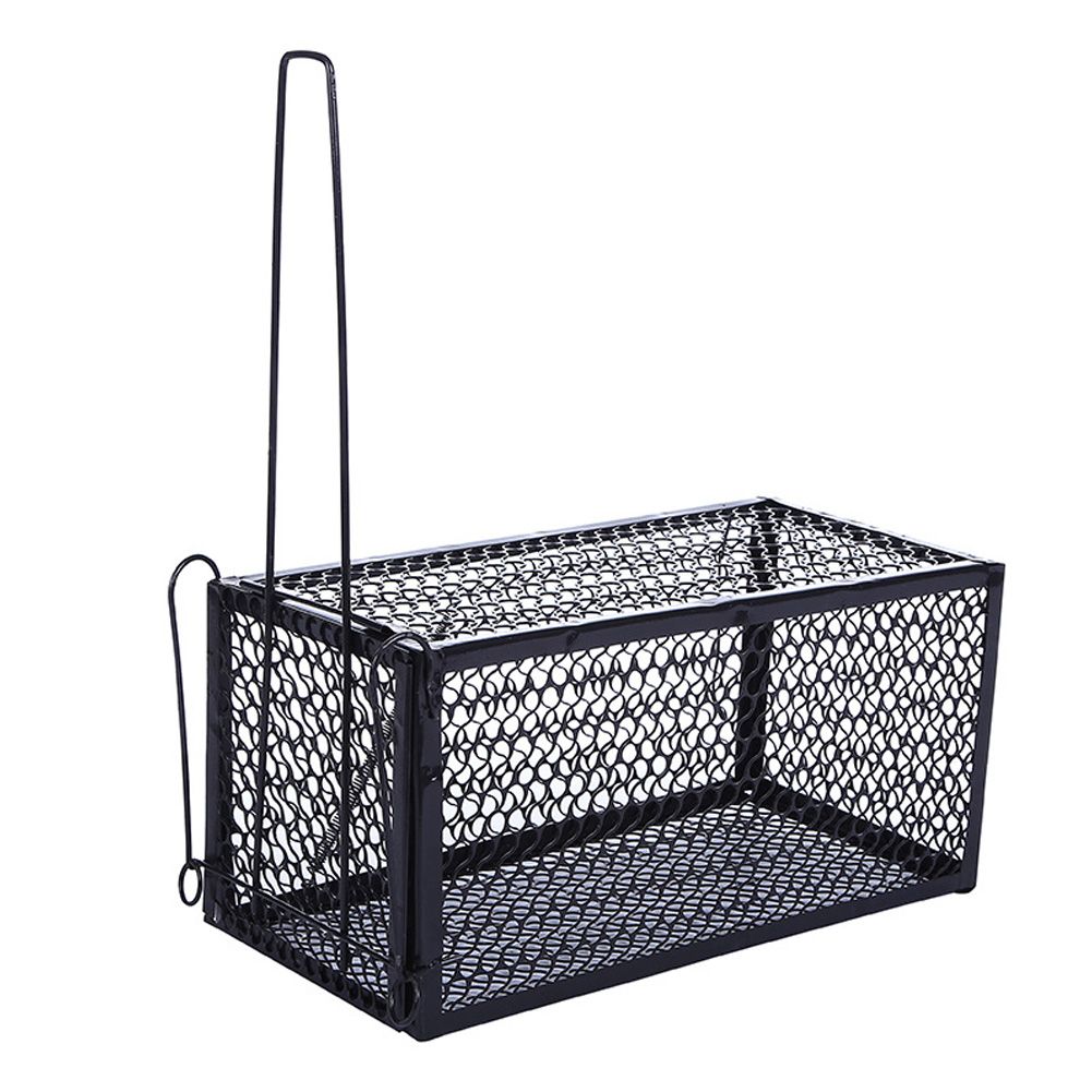 rat cages for sale canada