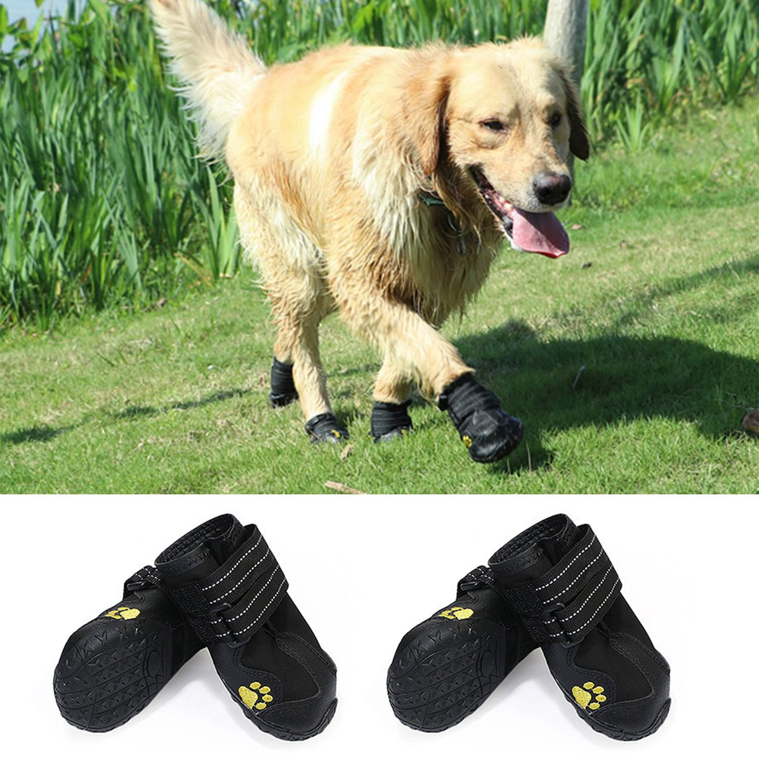 cheap dog boots