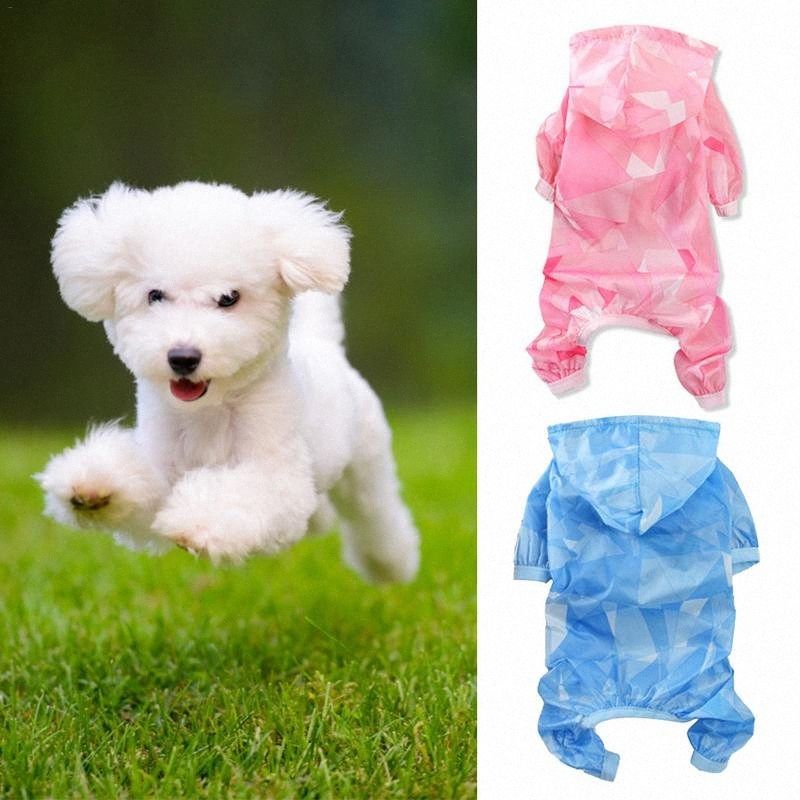 poodle raincoat