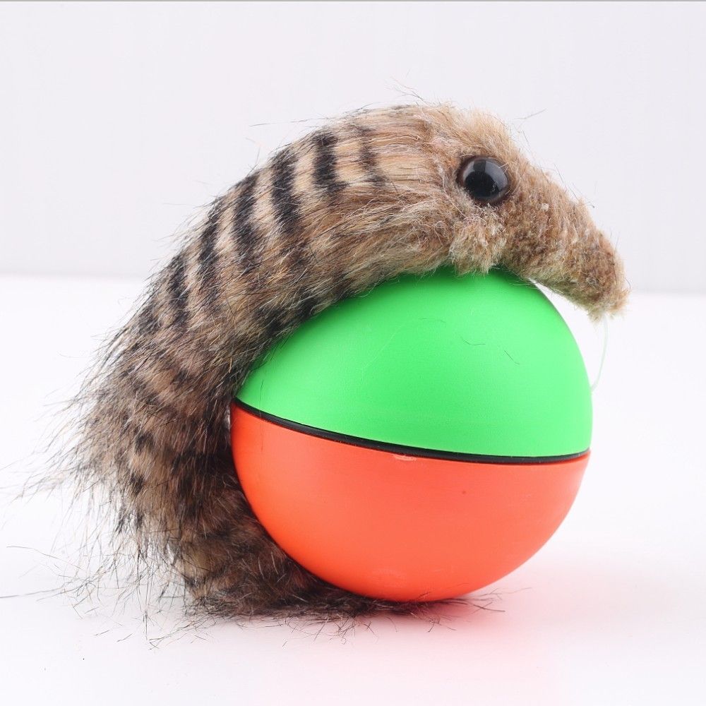 motorized dog ball