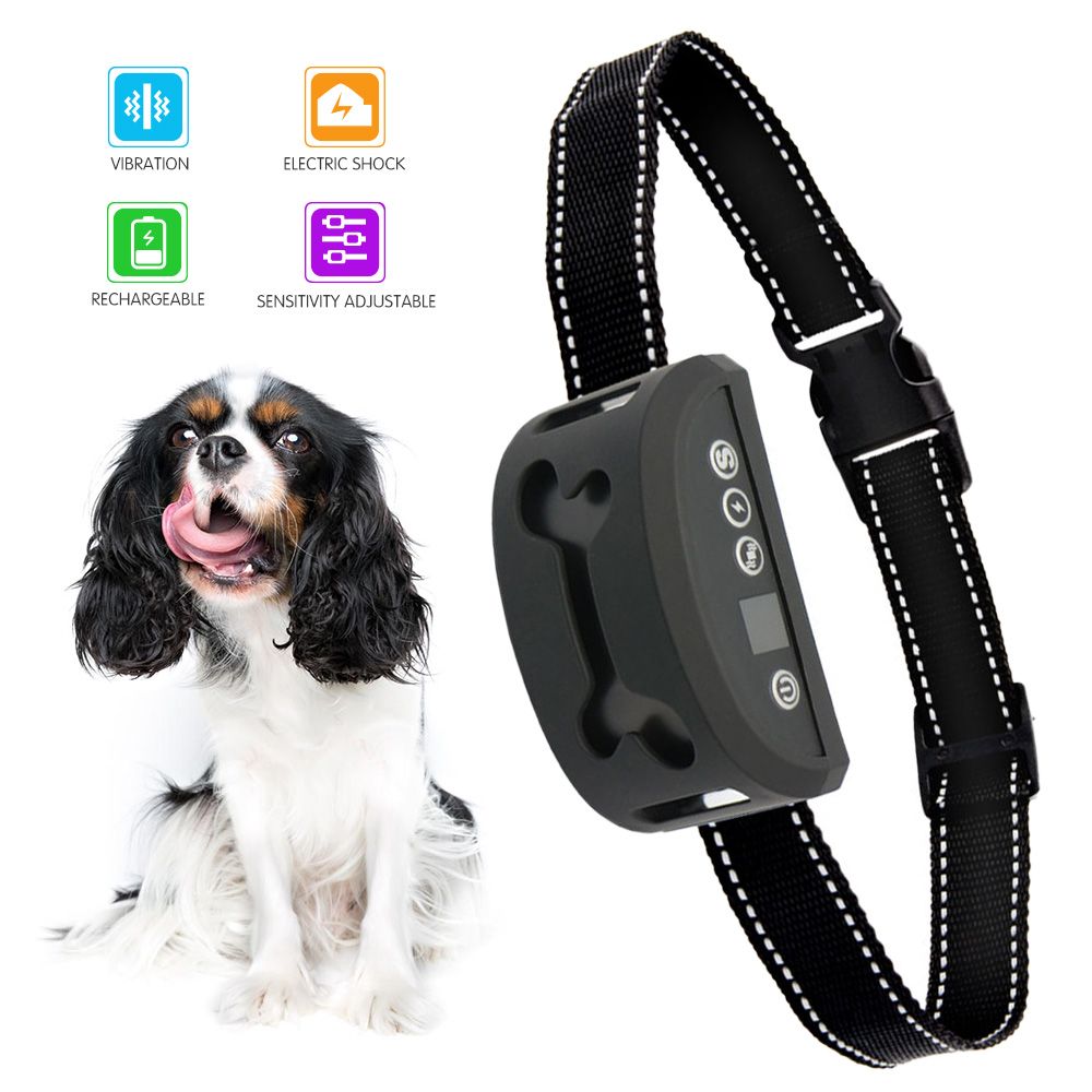 vibrating shock collar