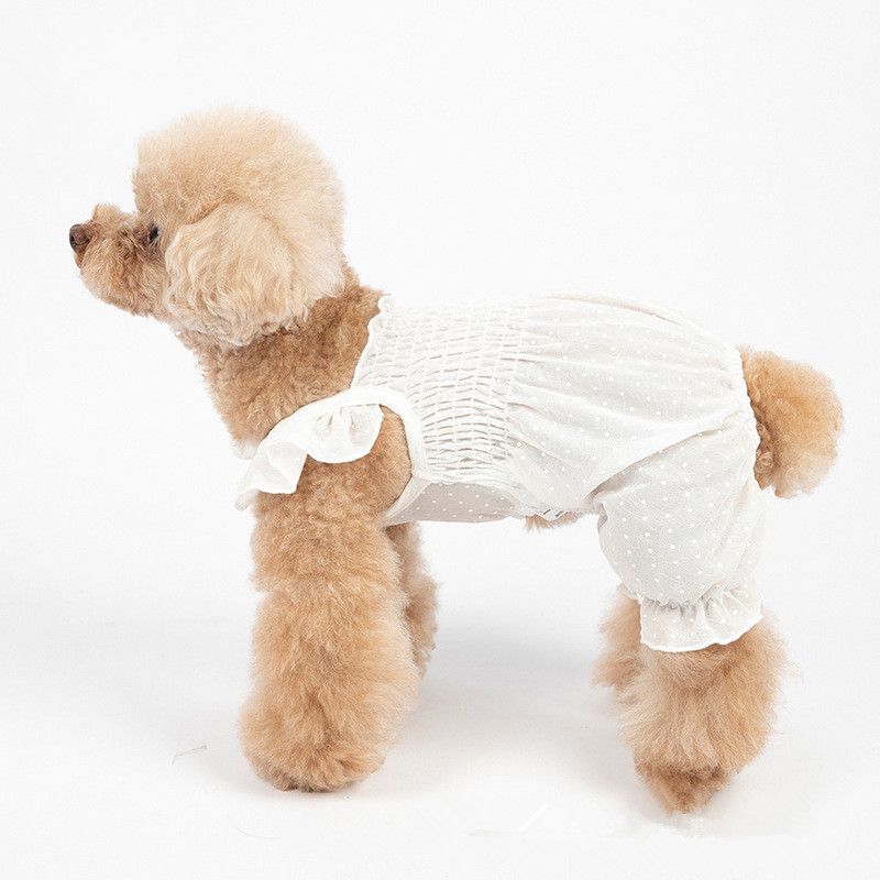 poodle clothes