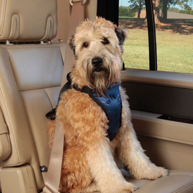 dog car seat belt harness