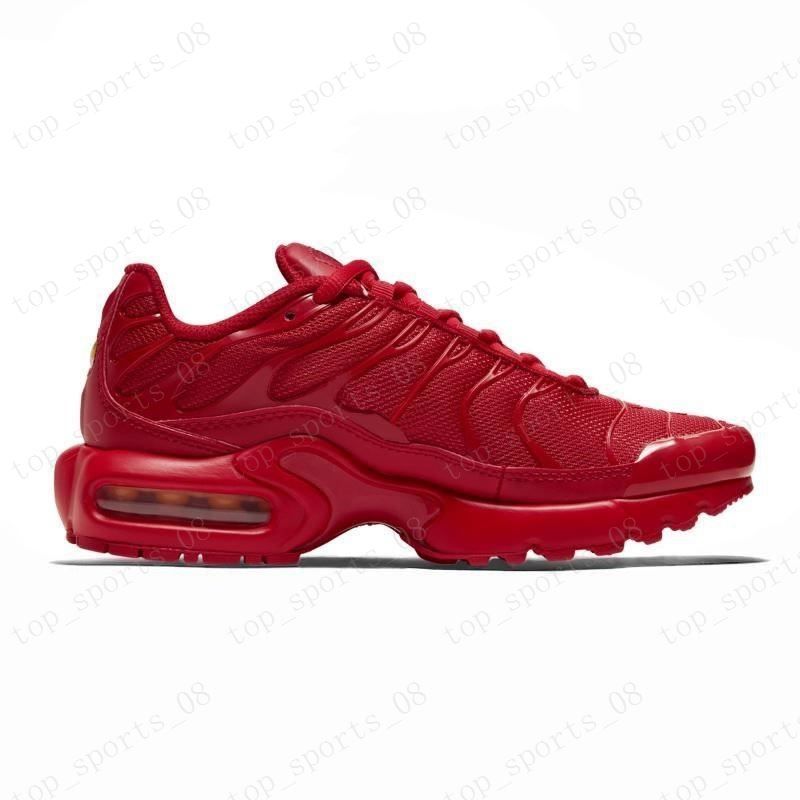 white rainbow tns