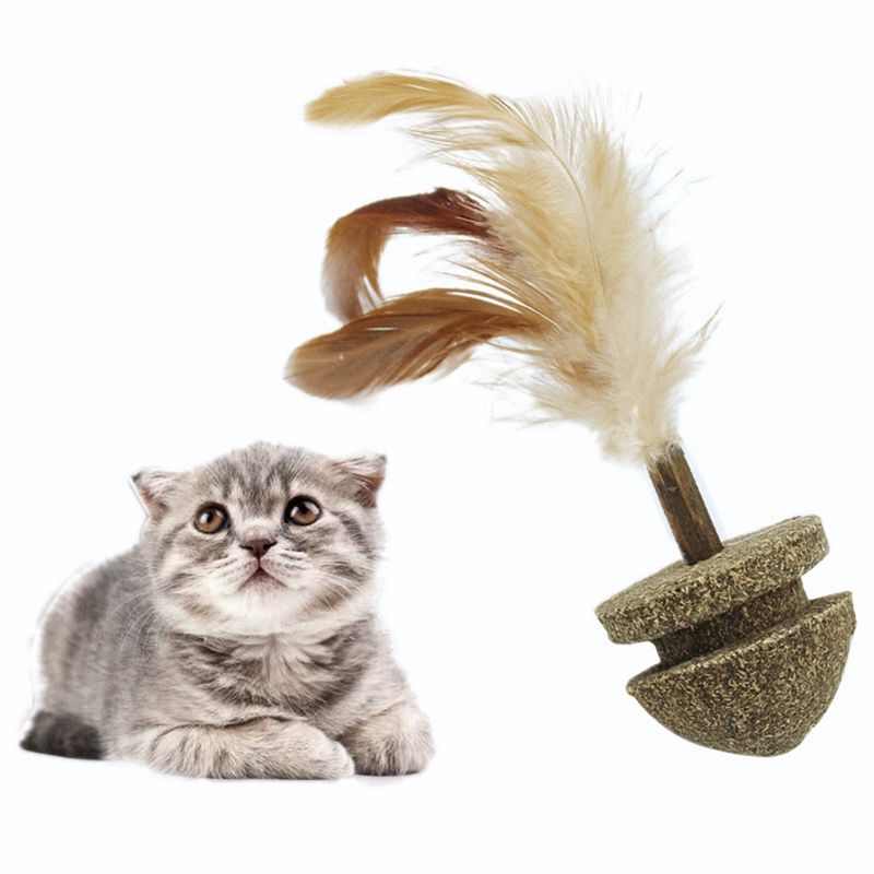 edible cat toys