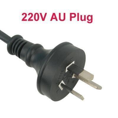 Au plug