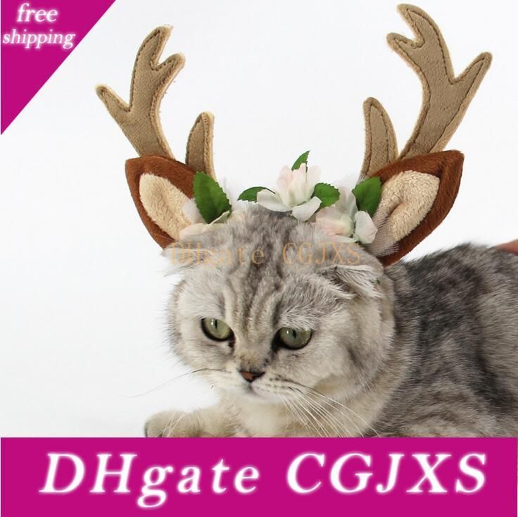 cat reindeer ears