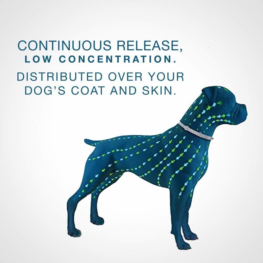 seresto collar shelf life