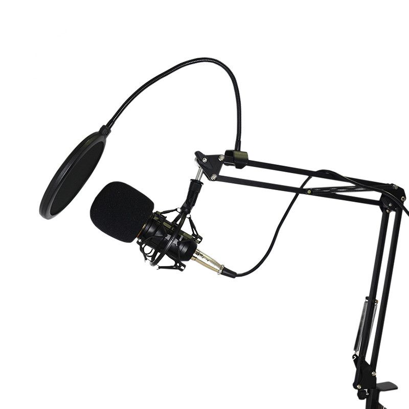 childrens microphone and stand
