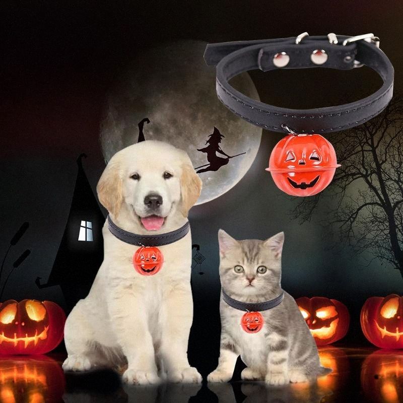 pumpkin cat collar