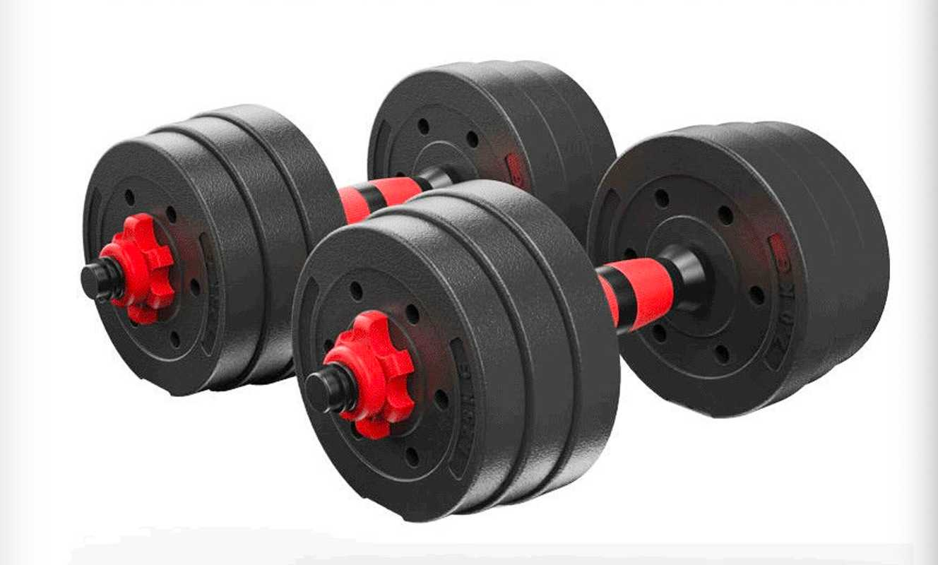 really cheap dumbbells