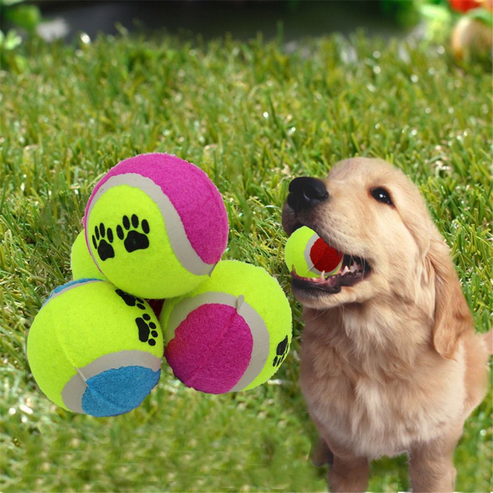 outdoor puppy toys