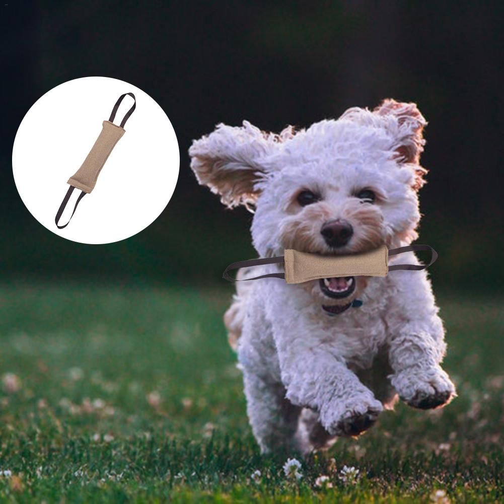 dog bite training toys