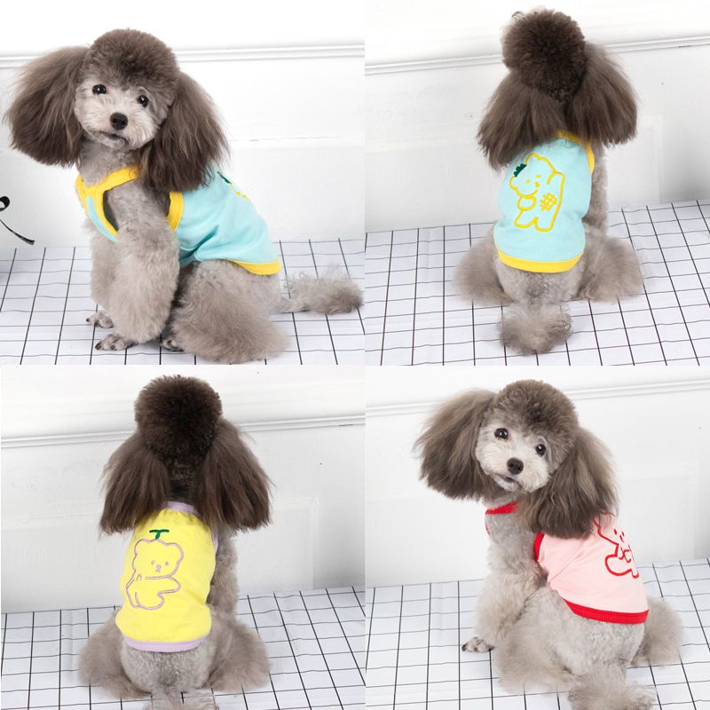 chihuahua summer clothes