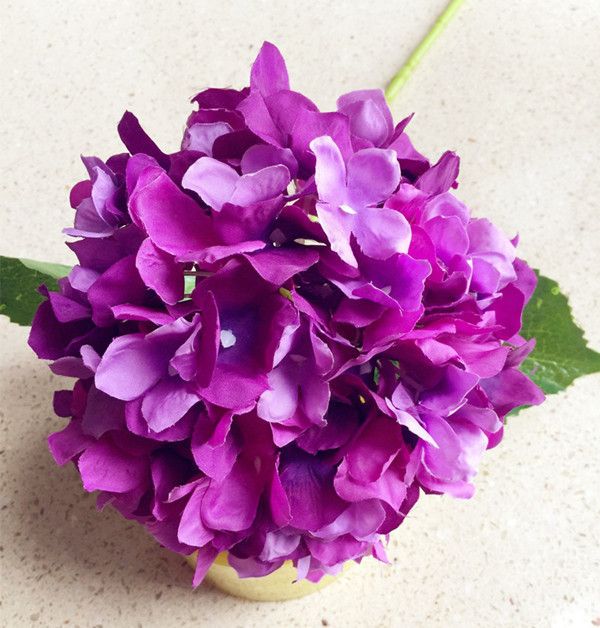 Purple Color Hydrangea